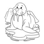 Raskrasil.com-Coloring-Pages-Walrus-65