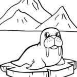 Raskrasil.com-Coloring-Pages-Walrus-82