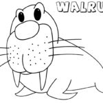 Raskrasil.com-Coloring-Pages-Walrus-83