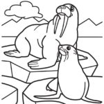 Raskrasil.com-Coloring-Pages-Walrus-85