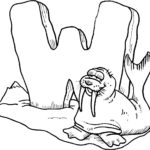 Raskrasil.com-Coloring-Pages-Walrus-87