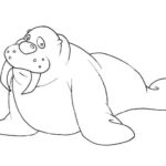 Raskrasil.com-Coloring-Pages-Walrus-89