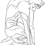 Raskrasil.com-Coloring-Pages-Werewolf-60