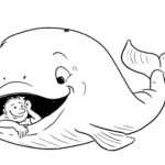 Raskrasil.com-Coloring-Pages-Whale-1
