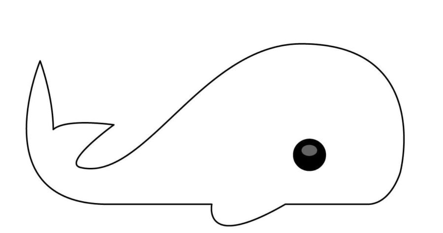 Whale Coloring Pages | 100 Pictures Free Printable