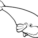 Raskrasil.com-Coloring-Pages-Whale-108