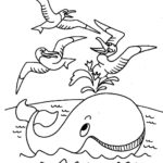 Raskrasil.com-Coloring-Pages-Whale-114
