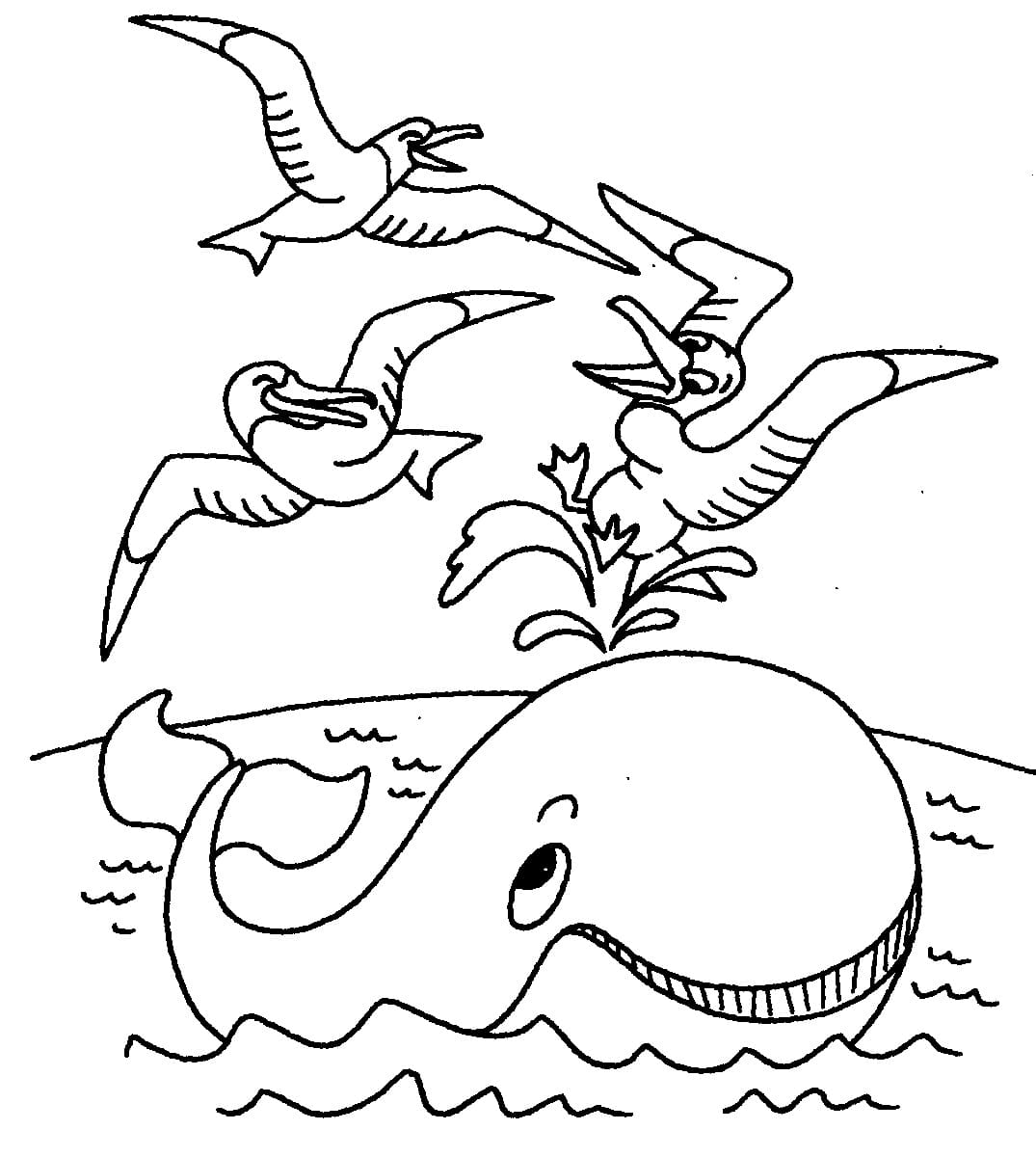Раскраски китов и дельфинов для детей