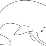 Raskrasil.com-Coloring-Pages-Whale-17