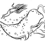 Raskrasil.com-Coloring-Pages-Whale-41