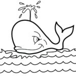 Raskrasil.com-Coloring-Pages-Whale-42