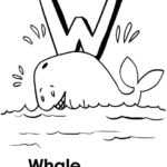 Raskrasil.com-Coloring-Pages-Whale-50