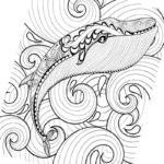 Raskrasil.com-Coloring-Pages-Whale-62
