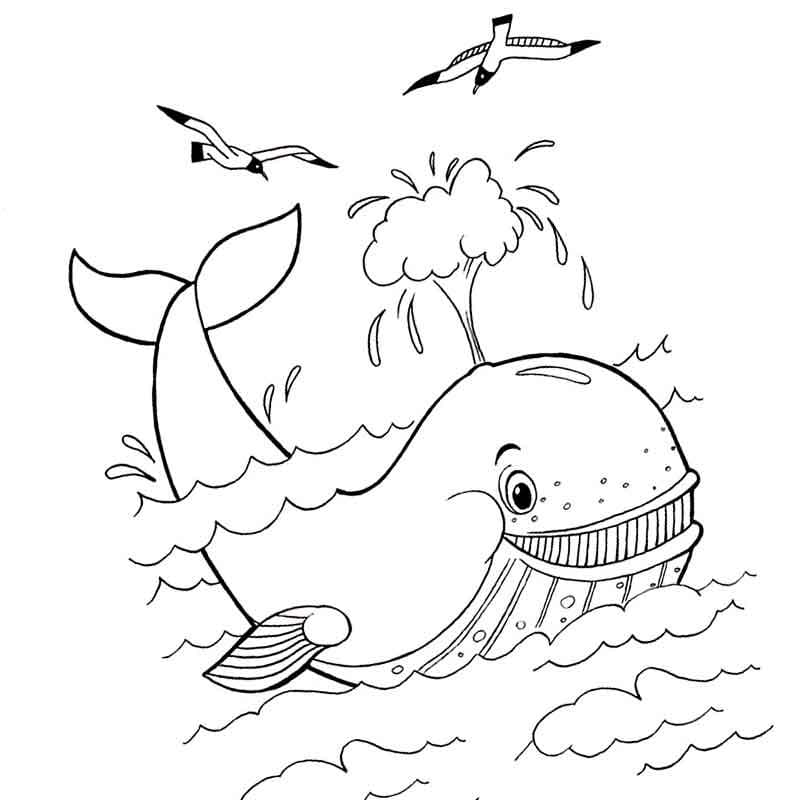 Desenhos de Baleias para colorir - 100 imagens para impressão gratuita