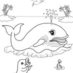 Raskrasil.com-Coloring-Pages-Whale-7