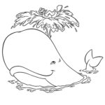 Raskrasil.com-Coloring-Pages-Whale-72