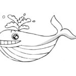 Raskrasil.com-Coloring-Pages-Whale-80