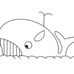 Raskrasil.com-Coloring-Pages-Whale-86