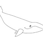 Raskrasil.com-Coloring-Pages-Whale-89
