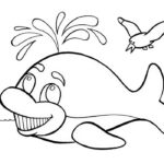 Raskrasil.com-Coloring-Pages-Whale-91