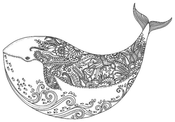 Whale Coloring Pages | 100 Pictures Free Printable