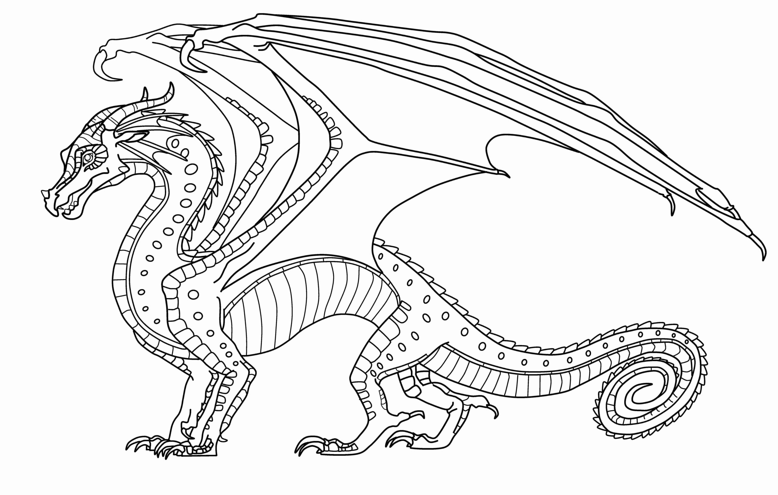 Raskrasil.com-Coloring-Pages-Wings-of-Fire-45
