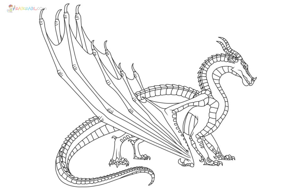 Wings of Fire Coloring Pages | 60 Pictures Free Printable