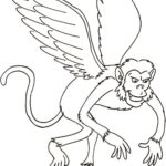 Previous Attachment