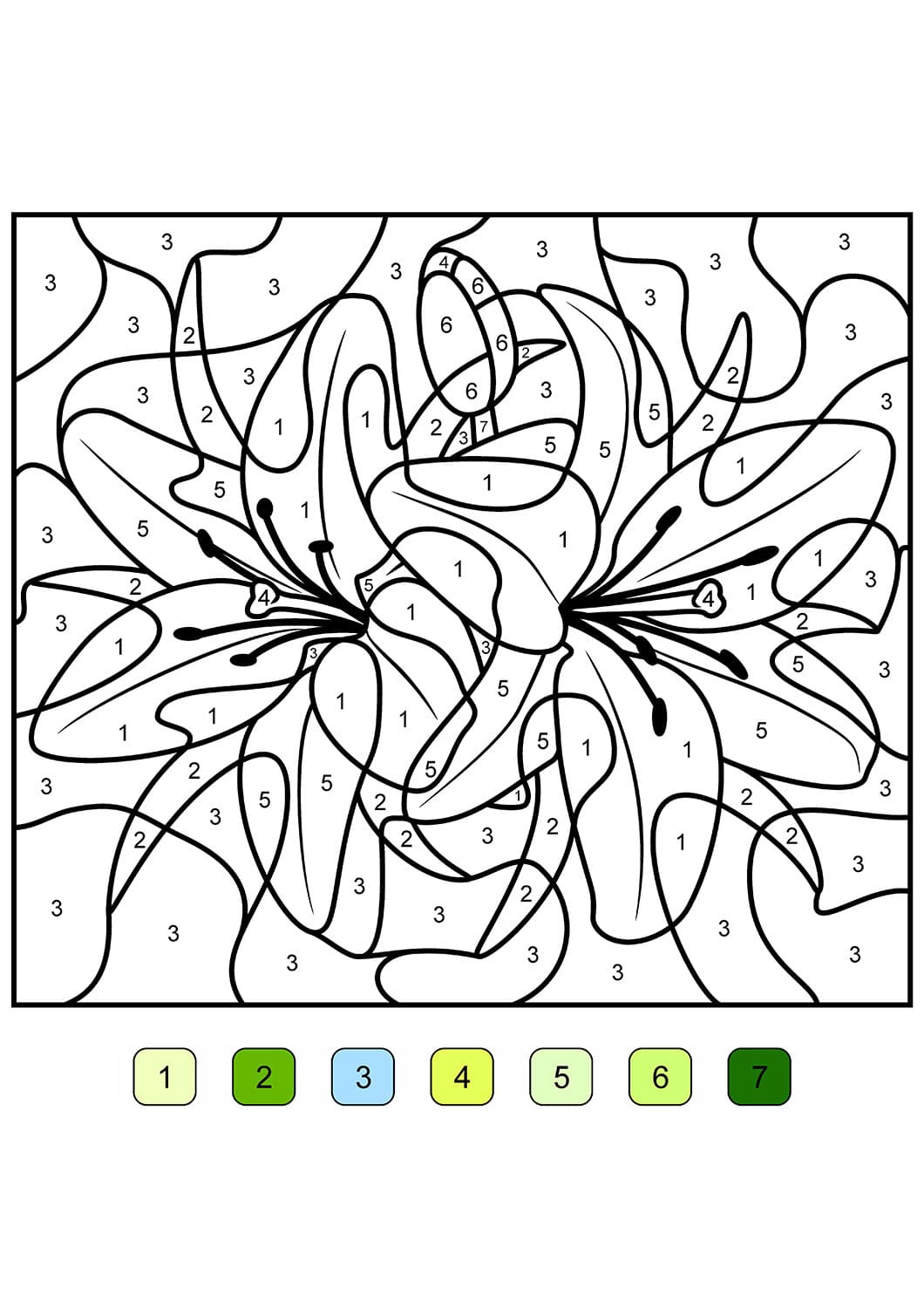 Raskrasil.com-Coloring by numbers -31