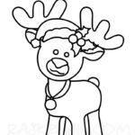 Raskrasil.com-Deer-109
