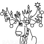 Raskrasil.com-Deer-110