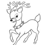Raskrasil.com-Deer-15