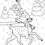 Raskrasil.com-Deer-16