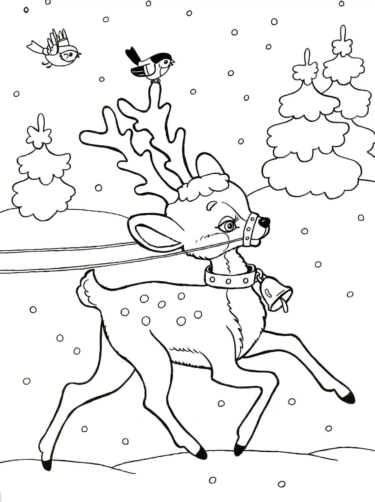 Dibujos de Renos de Navidad para colorear. Imprime gratis