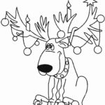 Raskrasil.com-Deer-17