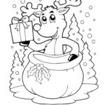 Raskrasil.com-Deer-28