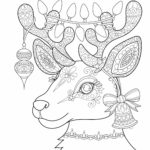 Raskrasil.com-Deer-29