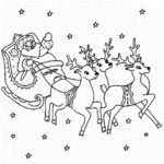 Raskrasil.com-Deer-35