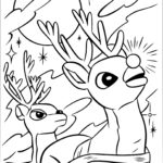 Raskrasil.com-Deer-36