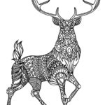 Raskrasil.com-Deer-38