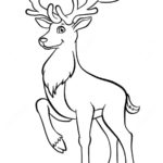 Raskrasil.com-Deer-40