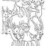Raskrasil.com-Deer-41