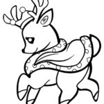 Raskrasil.com-Deer-44