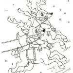 Raskrasil.com-Deer-70