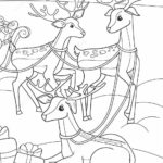 Raskrasil.com-Deer-83