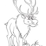 Raskrasil.com-Deer-93