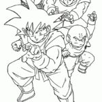 Raskrasil.com-Dragon -ball-z-1