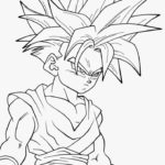 Raskrasil.com-Dragon -ball-z-25