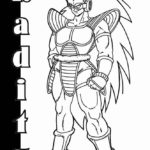 Raskrasil.com-Dragon -ball-z-80