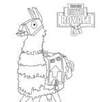 Raskrasil.com-Fortnite-32